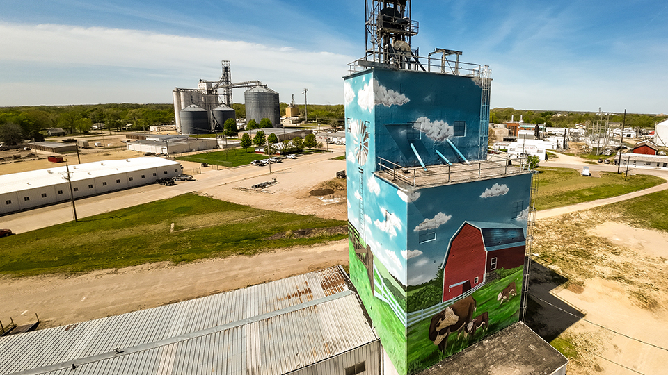 Murals
