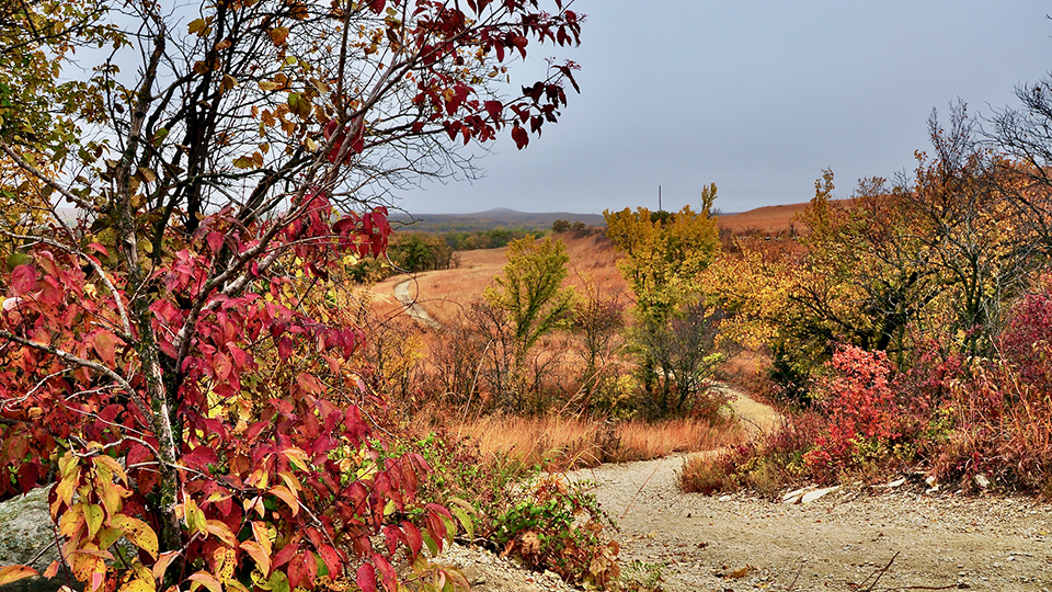 Konza Prairie