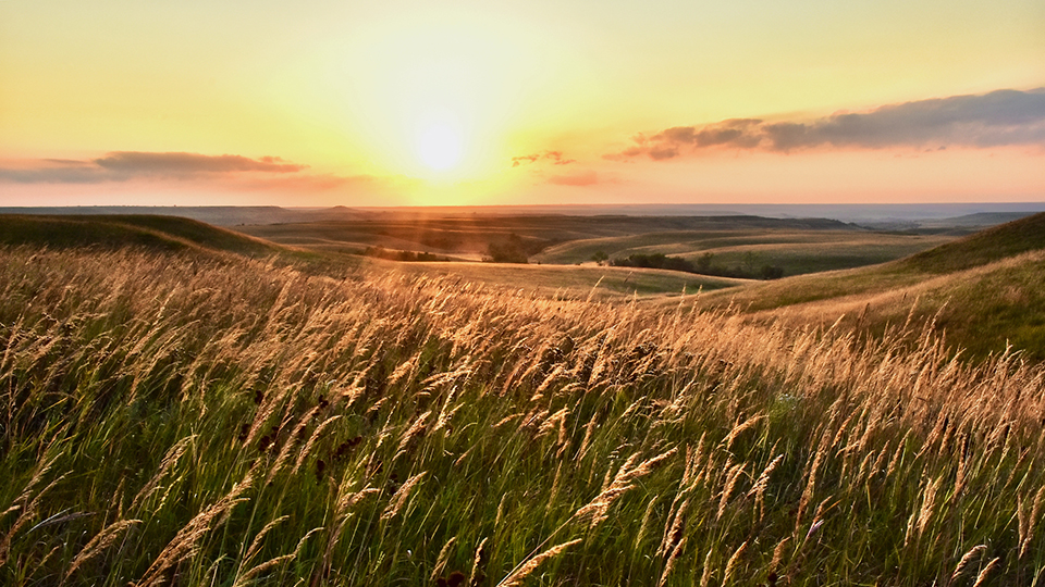 Konza Prairie