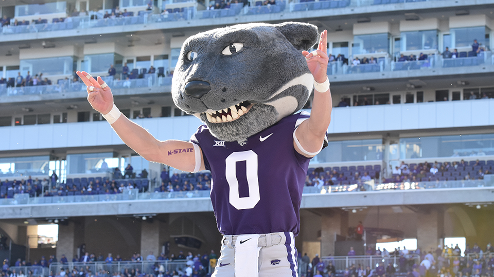 Willie the Wildcat