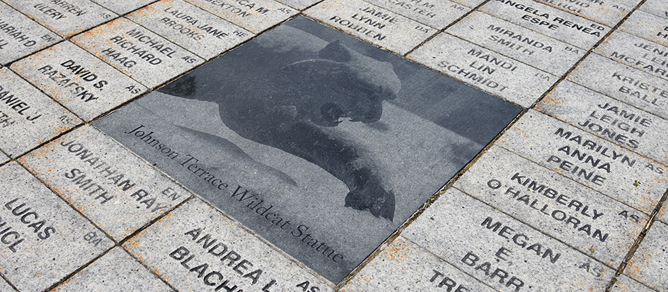 Senior Sidewalk