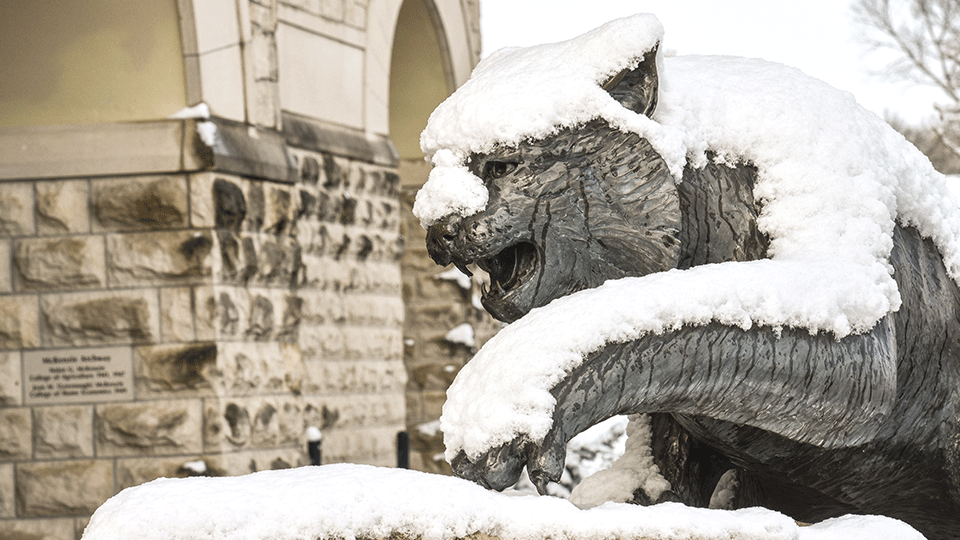 K-State Alumni Association