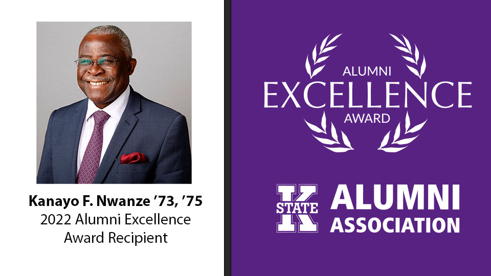 Alumni Excellence Award