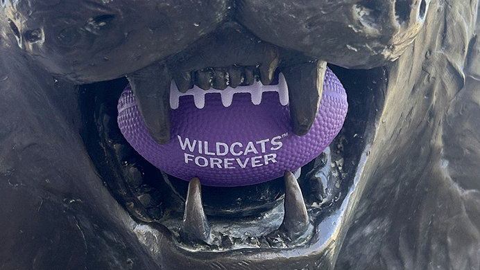 Wildcats Forever - Stress Ball Wildcats Forever - Stress Ball