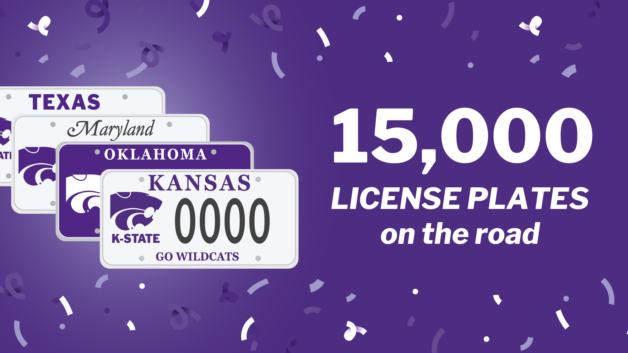 License Plate Program