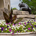 Alumni Association, Catbackers award scholarships to students in Hays area