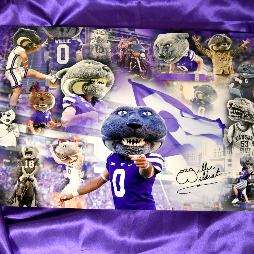 Willie the Wildcat art