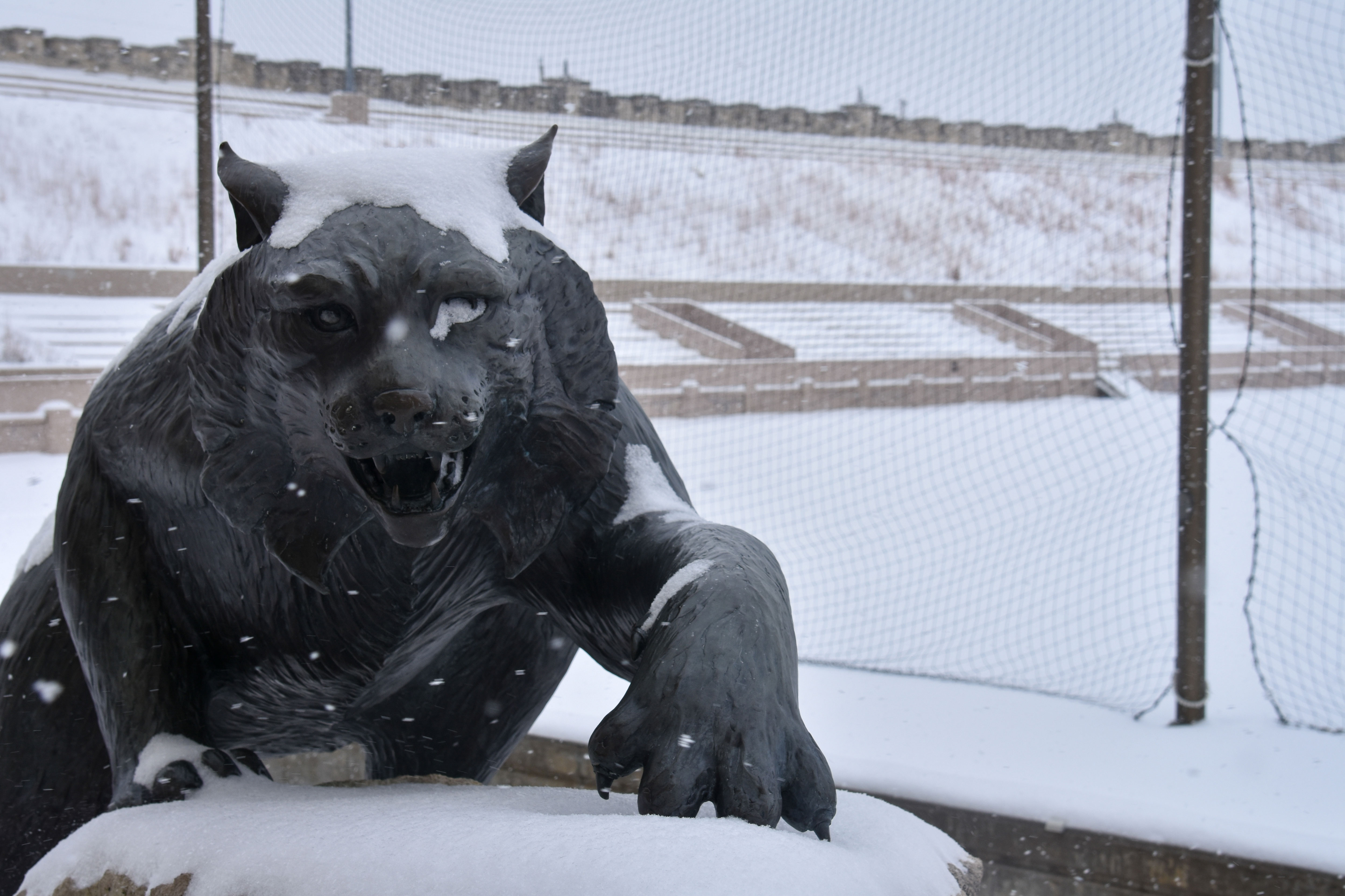 Wildcat Statue 