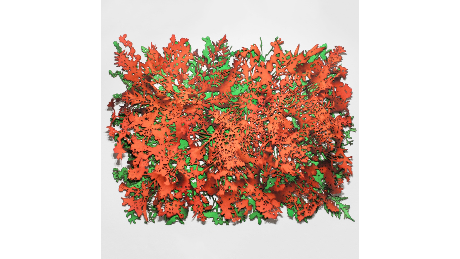 Ann Resnick