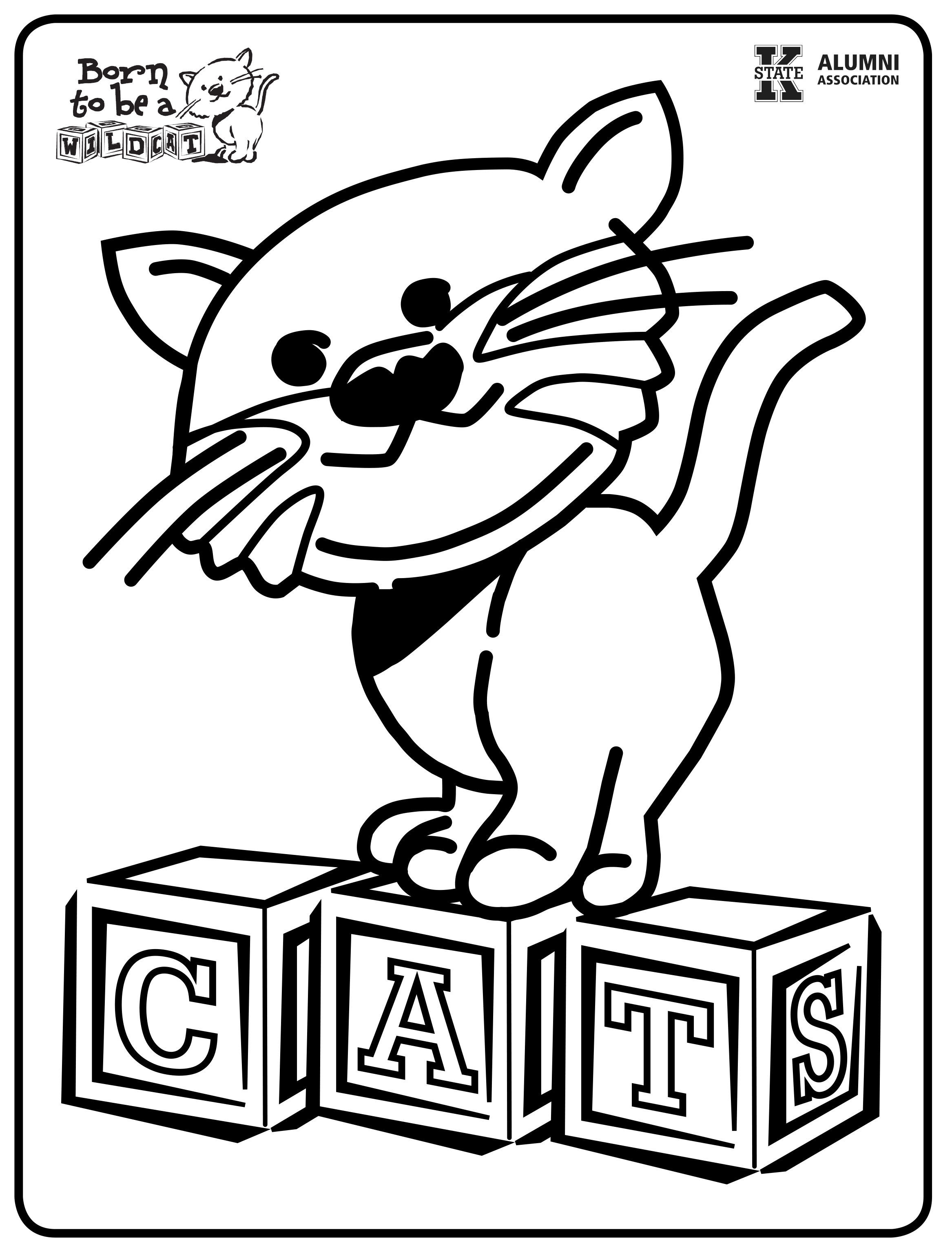Wildcat blocks