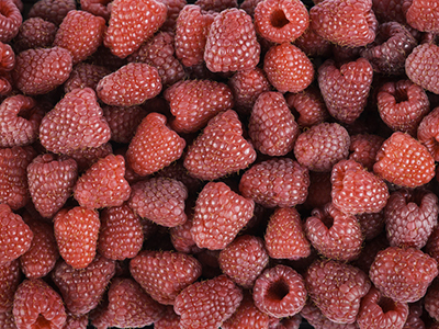 Raspberry