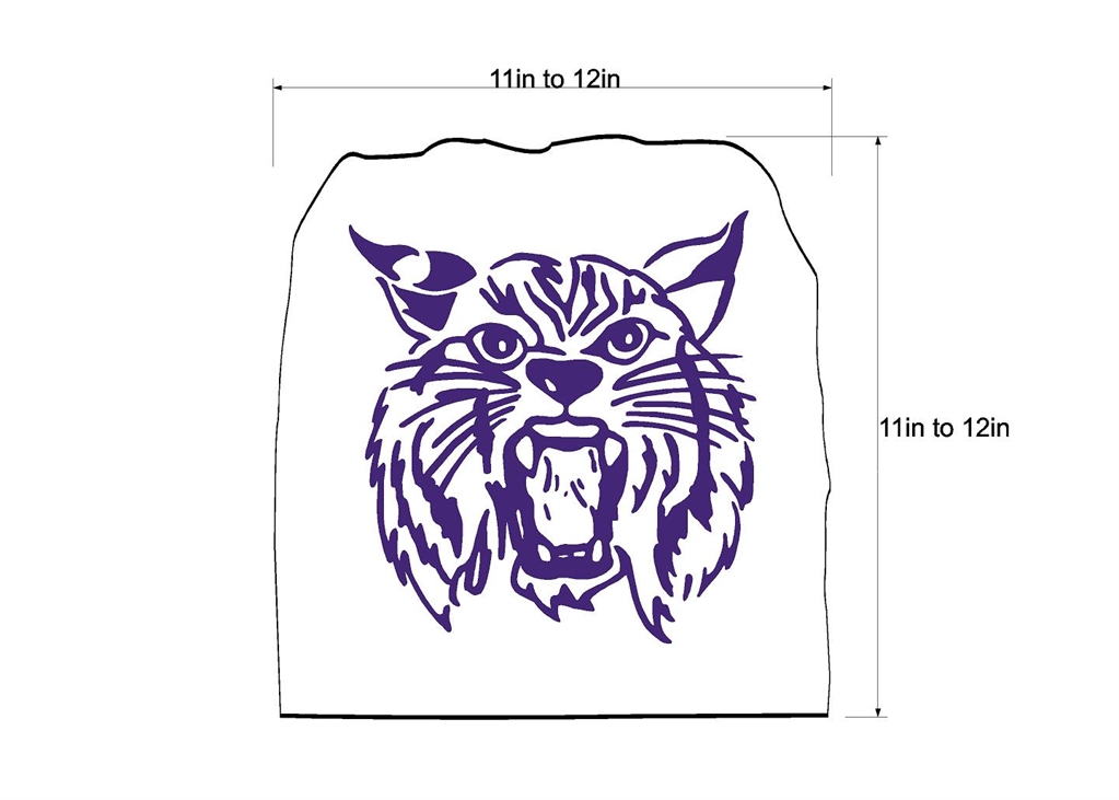 Front Facing Wildcat