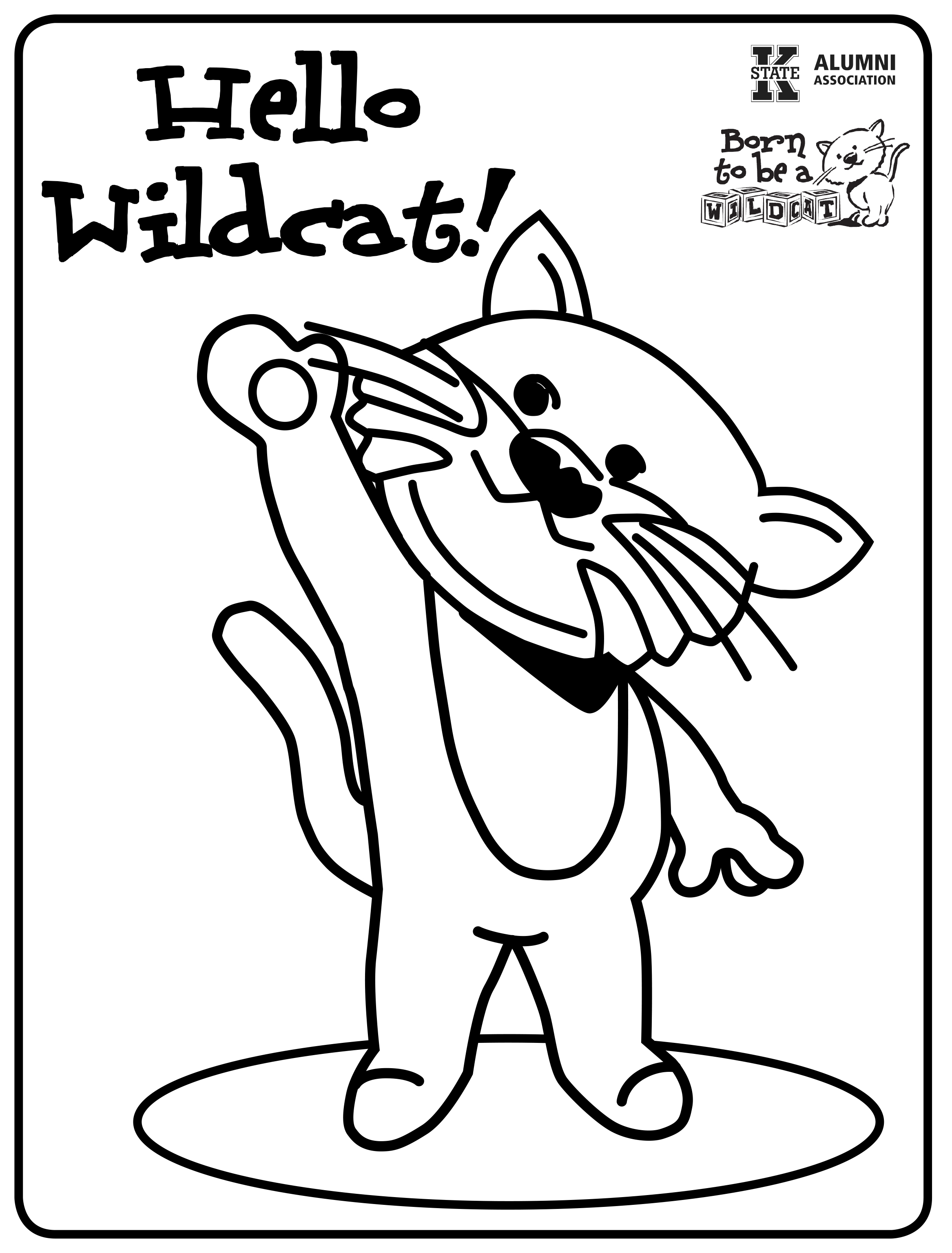 Hello Wildcat
