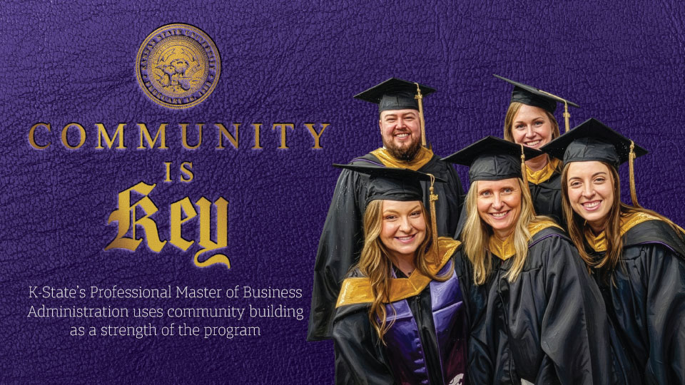 The Professional Master of Business Administration Program
