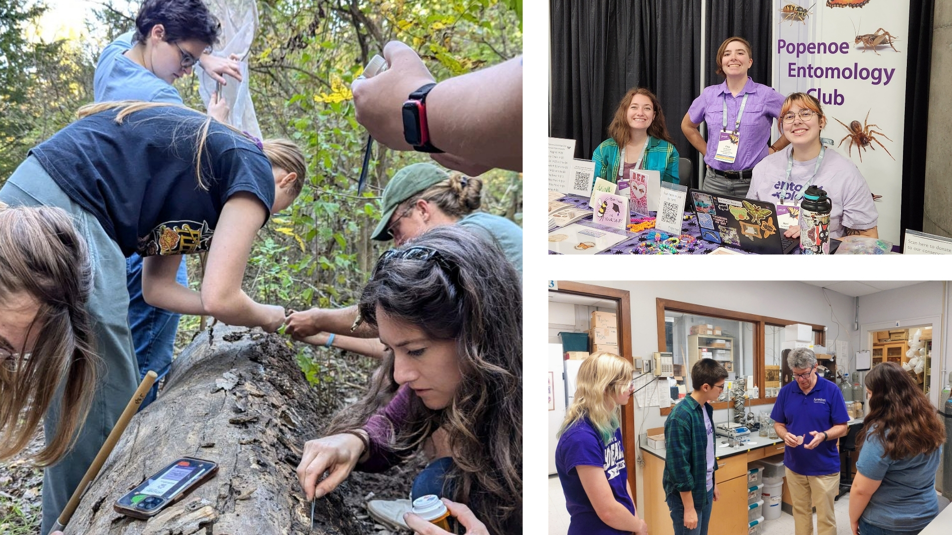 Popenoe Entomology Club