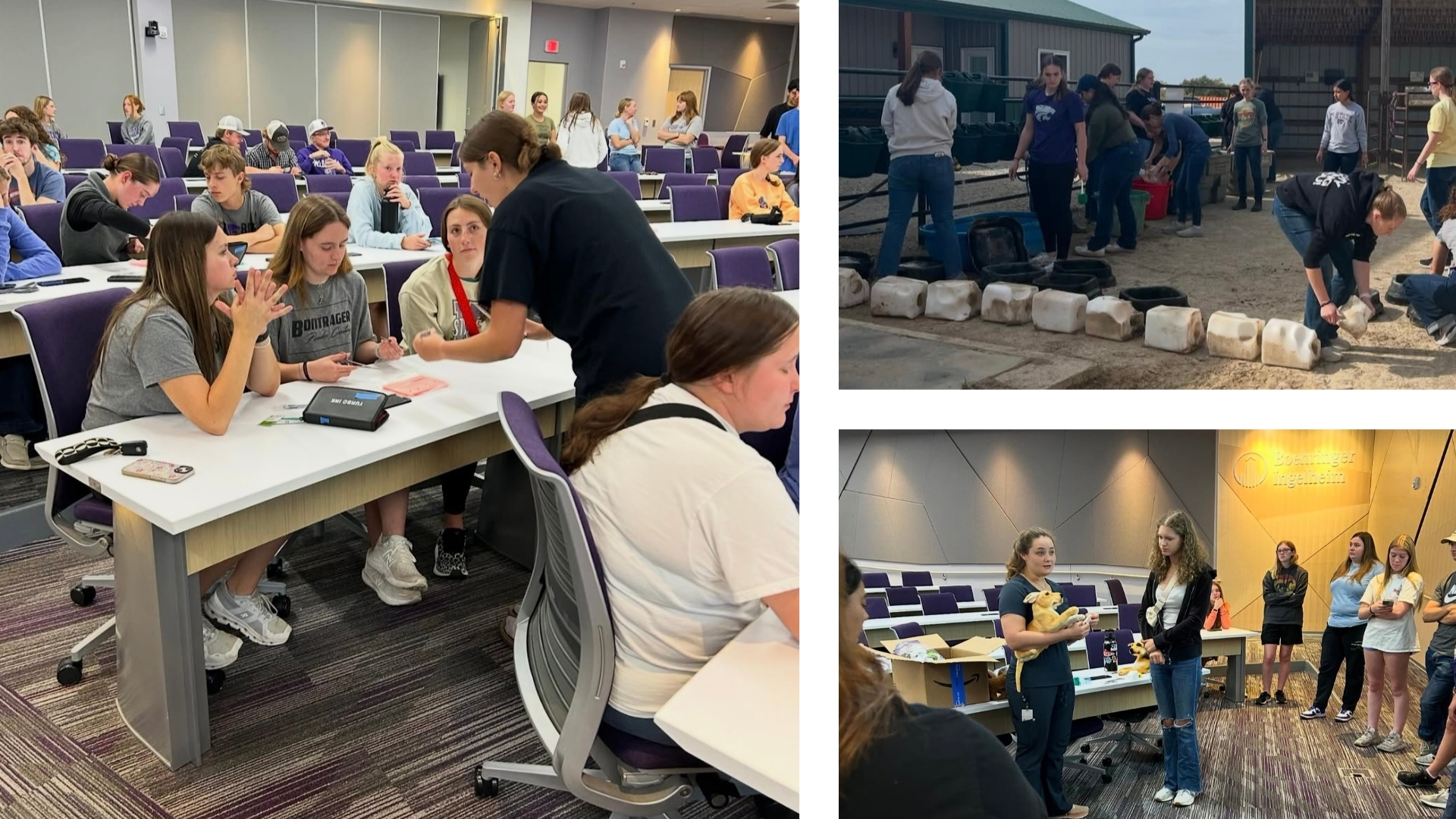 Pre-Veterinary Medicine Society