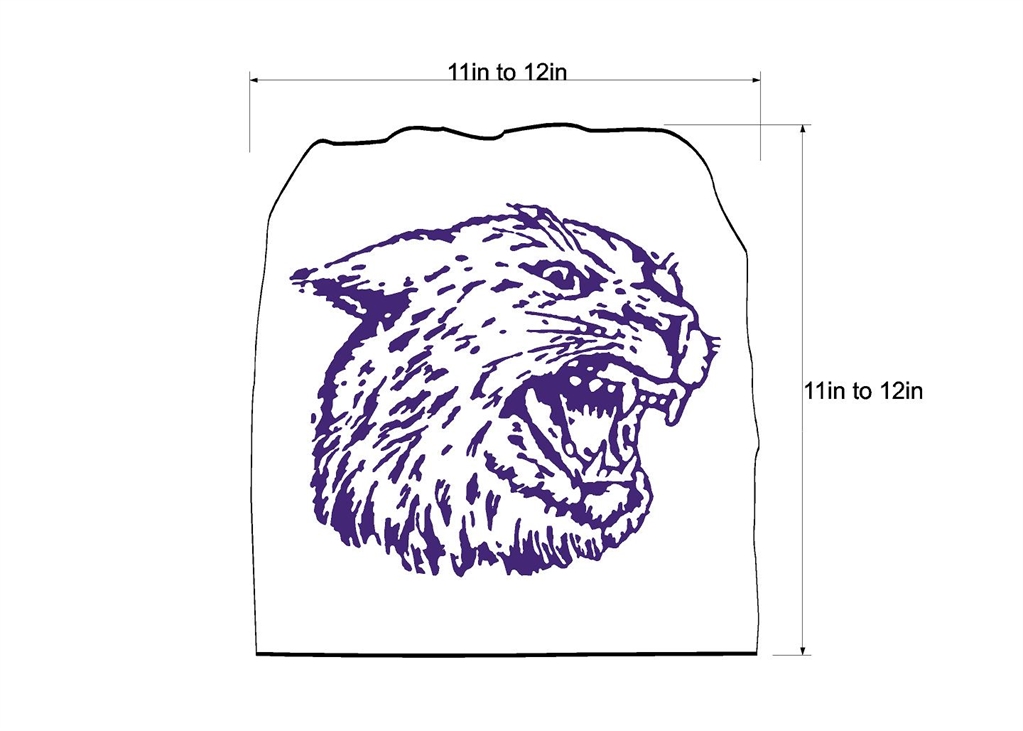 Side Facing Wildcat