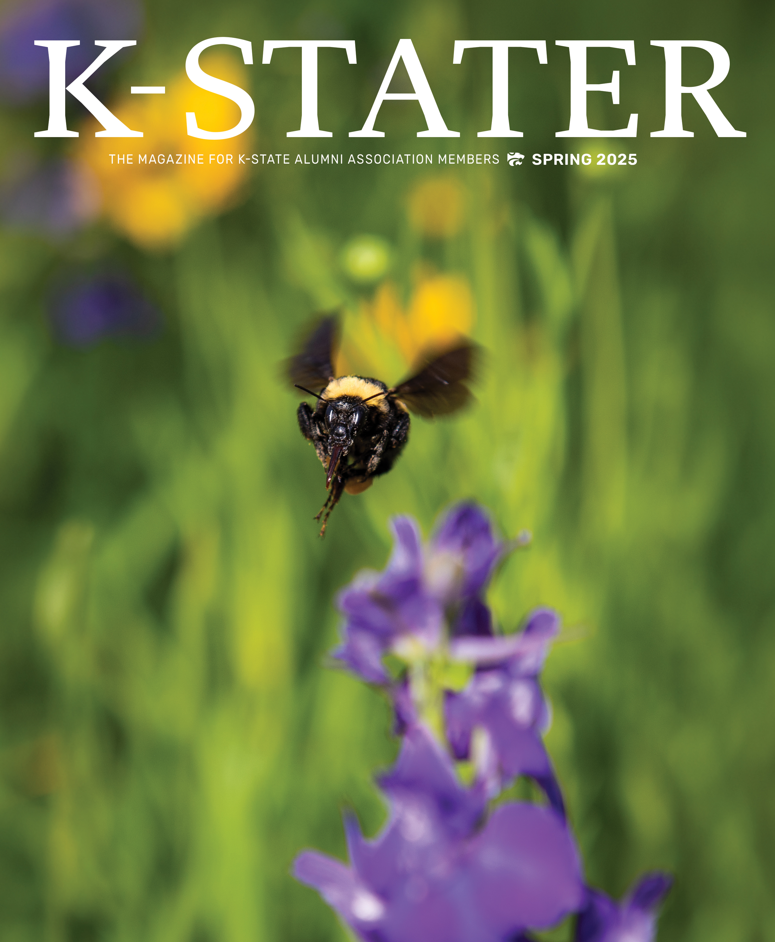 K-Stater magazine