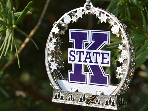Ornament 2020