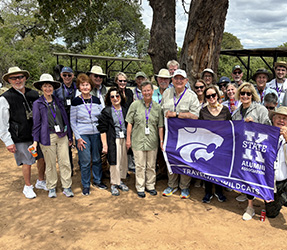 Traveling Wildcats Southern Africa