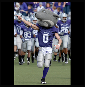 kstatebingo4