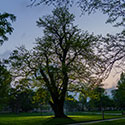 150 Kansas State University students receive 2026-27 Legacy Scholarships