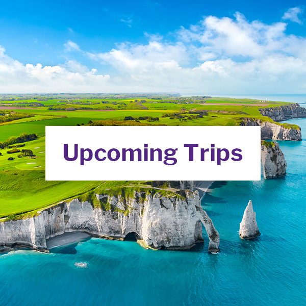 Upcoming trips