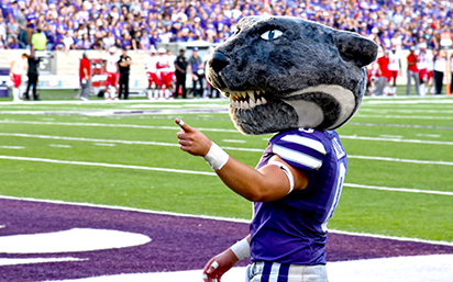 Willie the Wildcat