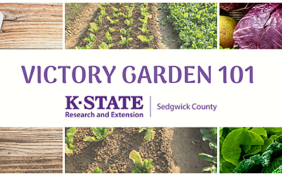 Victory garden