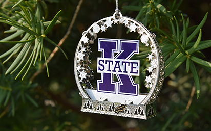 2020 ornament