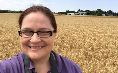 Wheat field