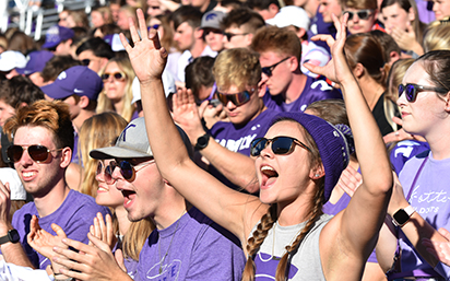 Cheering fans