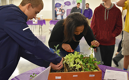 Growing plants