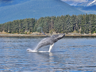Alaska