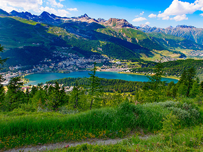 Swiss Alps