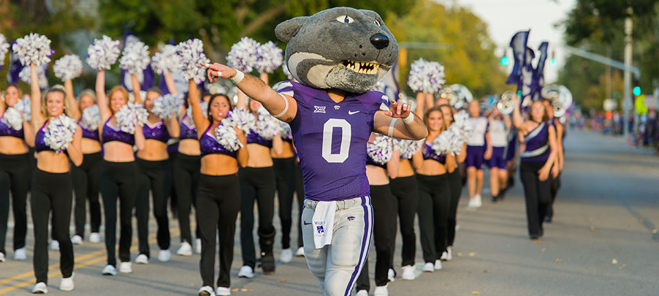 Willie the Wildcat