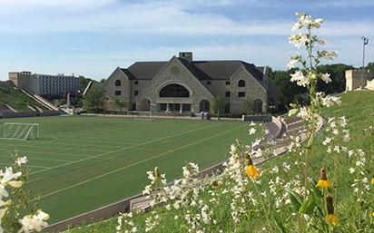 Memorial Stadium green roof