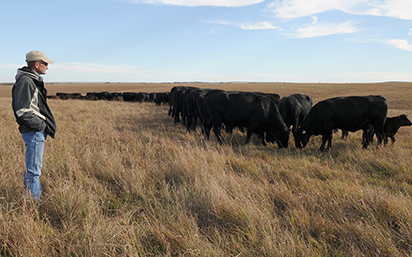 Cattle rancher