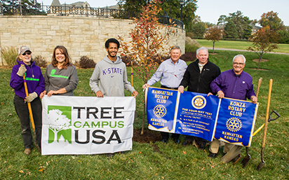 Tree planting