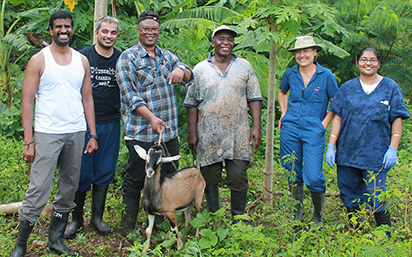 Research in Caribbean