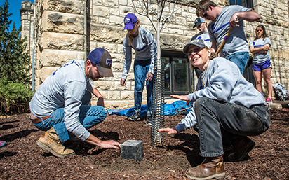 Tree planting