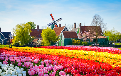 Dutch Waterways