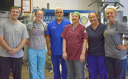 Veterinary volunteers