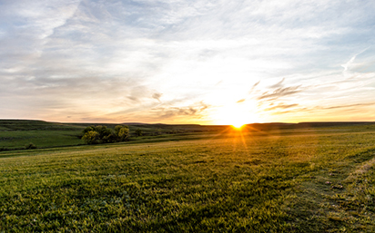 Flint Hills