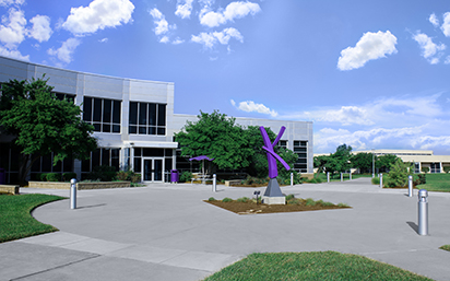 Sculpture on campus