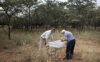 Tick research