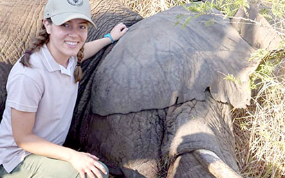 Caring for an elephant